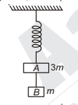 Spring mass system