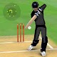 Smashing Cricket - a cricket game like none other Download on Windows