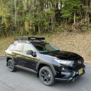 RAV4 MXAA54