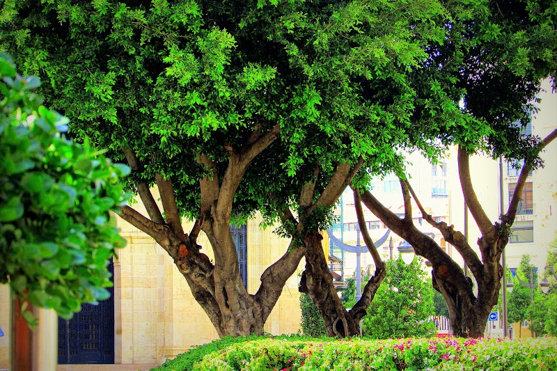 BEIRUT (I): HAMRA Y DOWNTOWN - POR LÍBANO COMO PEDRO POR EL PAÍS DEL CEDRO (10)