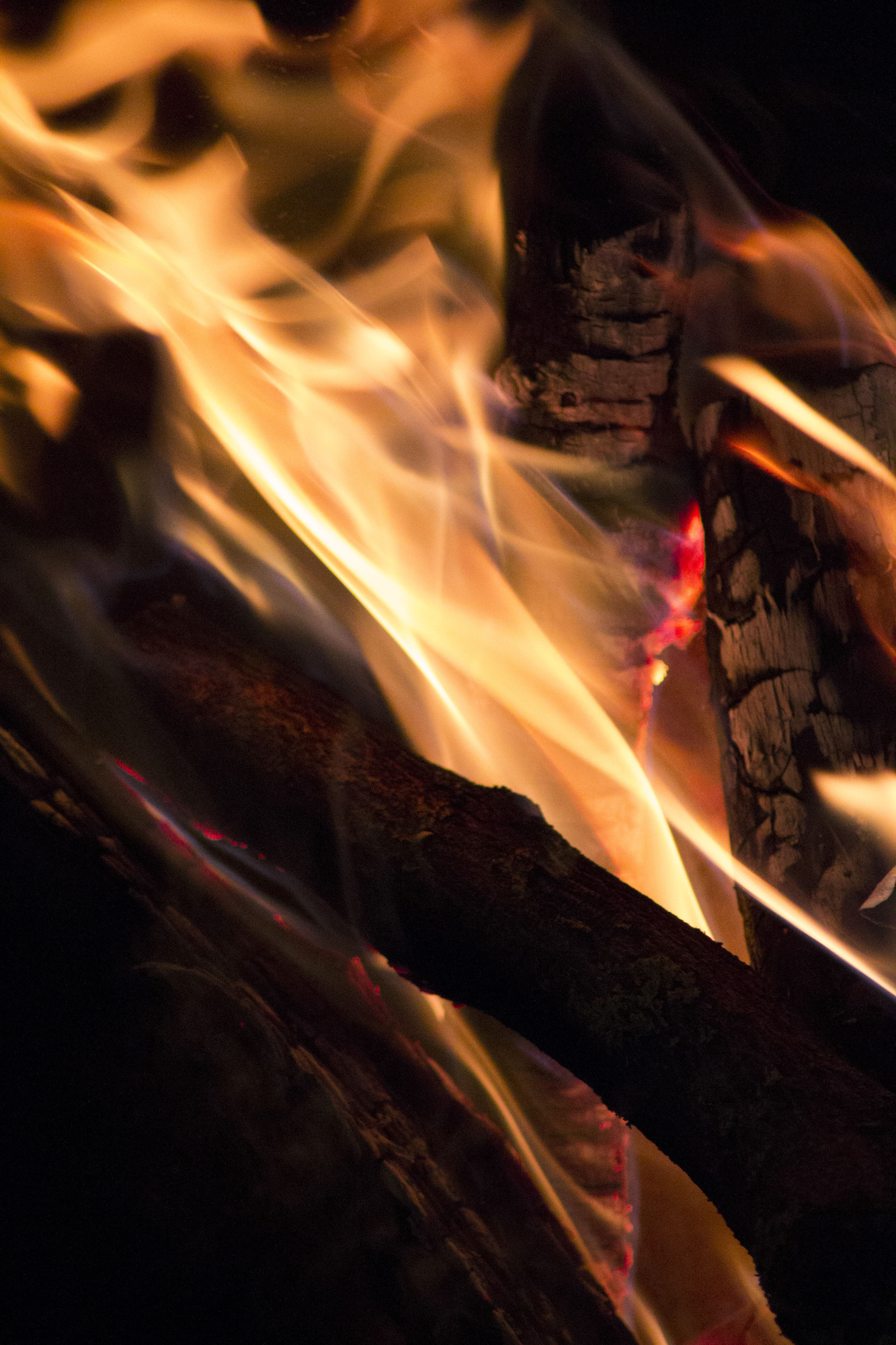 La potenza del fuoco di Eleonora Lombardi