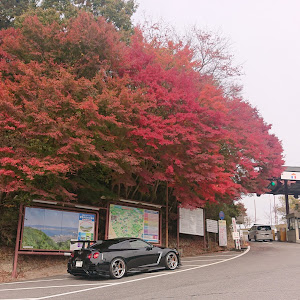 NISSAN GT-R R35