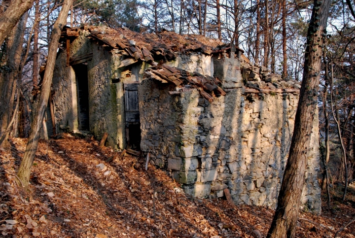 La stalla tra gli alberi di kyra