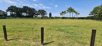 terrain à Saint-Molf (44)