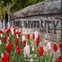 Cornell University MeaVana