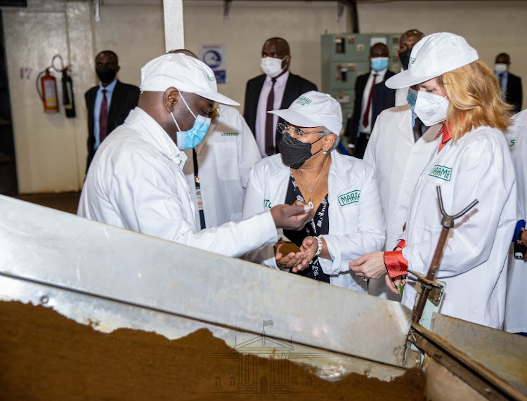 First Lady Margaret Kenyatta accompanied by her Hungarian counterpart Anita Herczegh during a tour of Maramba Tea Factory, at Limuru, on January 17,2022/