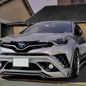 C-HR ZYX10