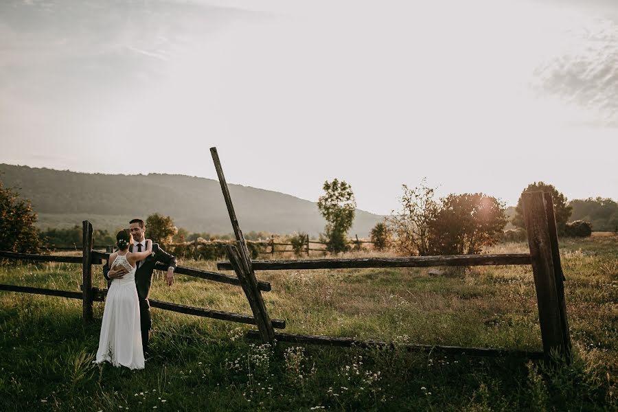 Fotógrafo de casamento Virág Mészáros (awhjs). Foto de 10 de setembro 2019