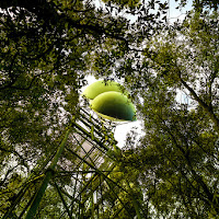 Alberi di latta di 