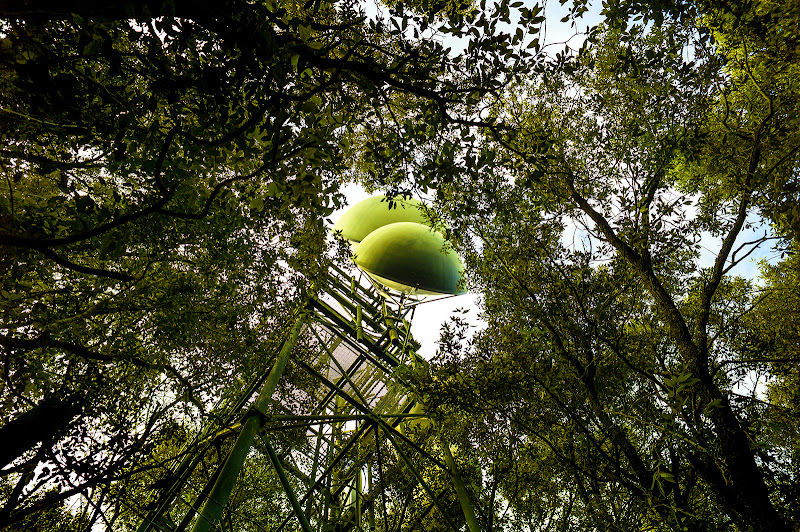 Alberi di latta di Razor1979