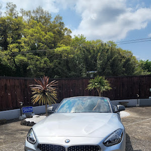 Z4 ロードスター G29