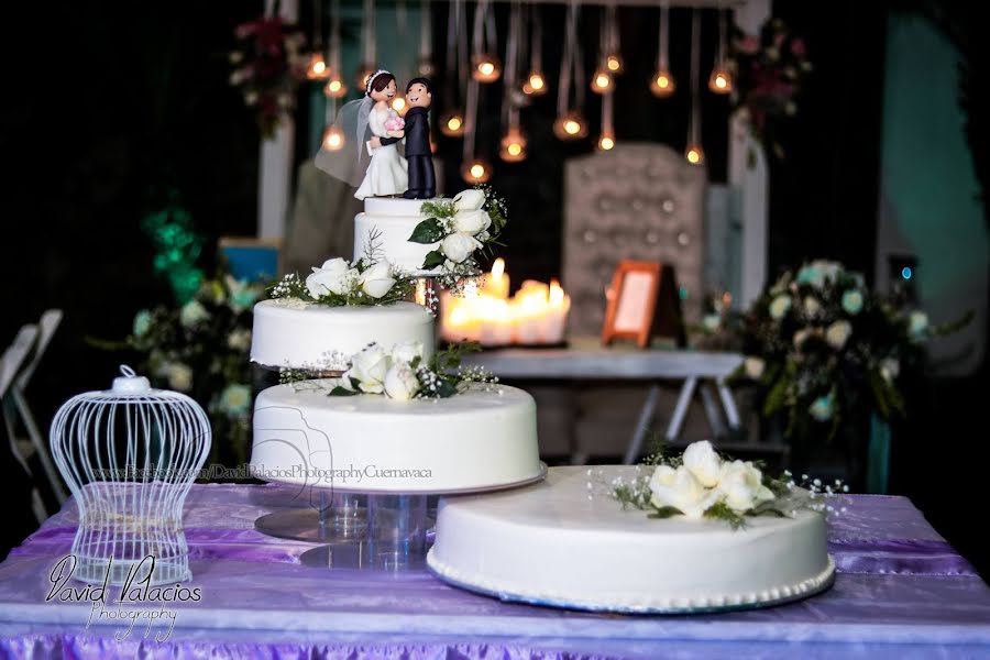 Fotógrafo de casamento David Palacios (davidpalacios). Foto de 20 de julho 2019