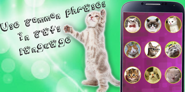 переводчик скачать apk