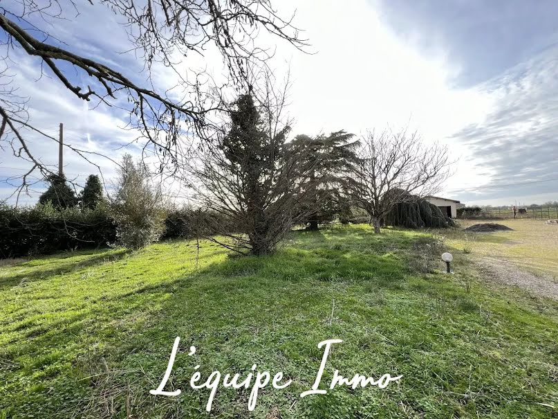 Vente terrain  1425 m² à Saint-Jory (31790), 230 000 €