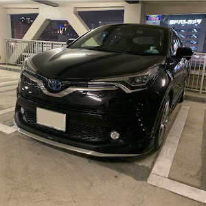 C-HR ZYX10