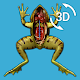 Visual Anatomy 3D - Frog Download on Windows