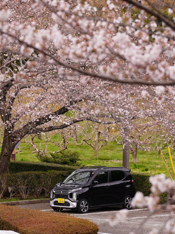 ロードスターのサクラと愛車・ロードスターのある風景・富士山と愛車・ファインダー越しの世界・染井吉野に関するカスタム事例の投稿画像12枚目