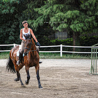 Eleganza equina di Sergio Giunipero