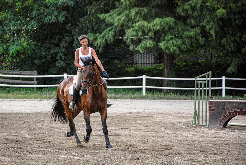 Eleganza equina di Sergio Giunipero