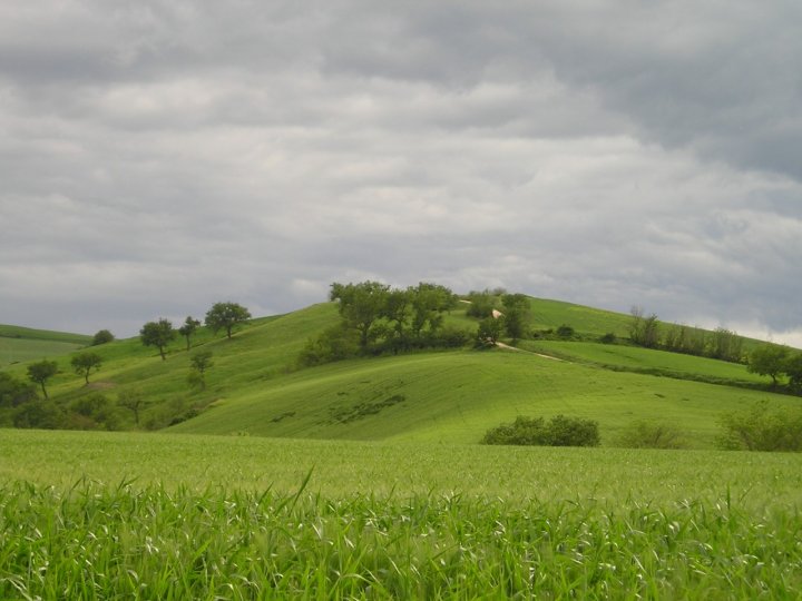 prima della tempesta di Patrizio M.