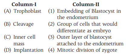 Implantation