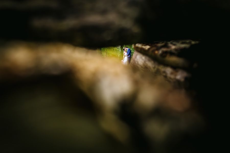 Huwelijksfotograaf Erwin Van Oosterom (evophotography). Foto van 15 juni 2016