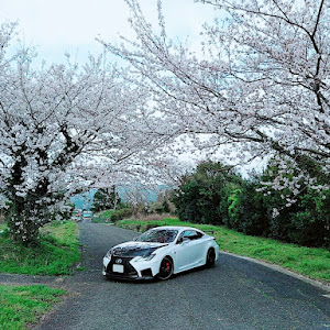 RC F USC10