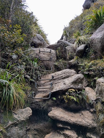 Pinnacles Walk Summit Coromandel