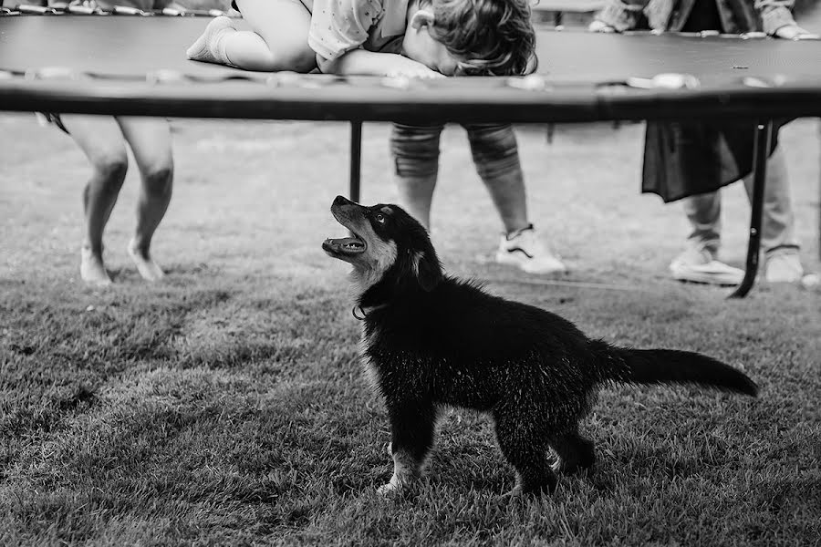 Svatební fotograf Nadine Lotze (lumoid). Fotografie z 11.dubna