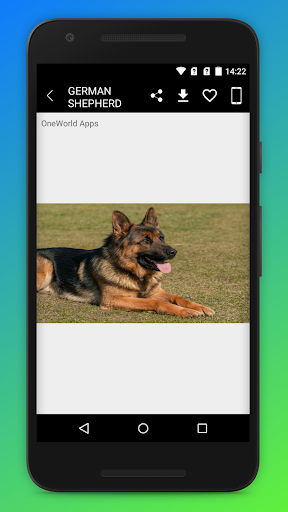 German Shepherd Wallpapers