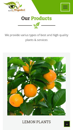 SRI NAGADEVI NURSERY