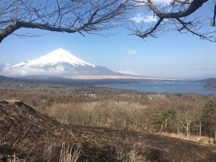 の投稿画像8枚目