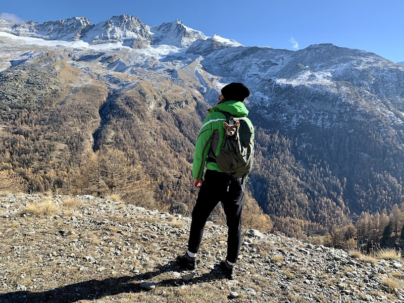 Passeggiata con comodo trasporto di Rosaria_Scrofani