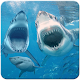 Download HD Sharks Wallpapers For PC Windows and Mac 1.0