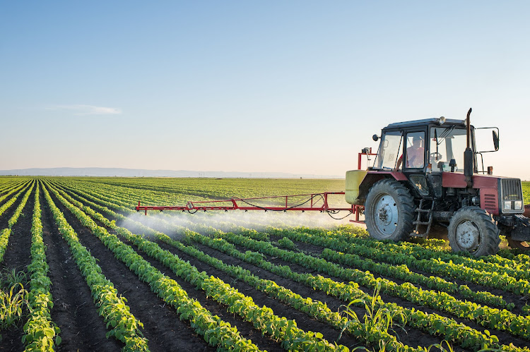 The agricultural sector ends the year on a positive note after bumper harvests and increased exports, says agriculture and land reform minister Thoko Didiza. Stock photo.