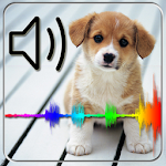 Animal Sounds For Kids Apk