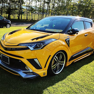 C-HR ZYX10