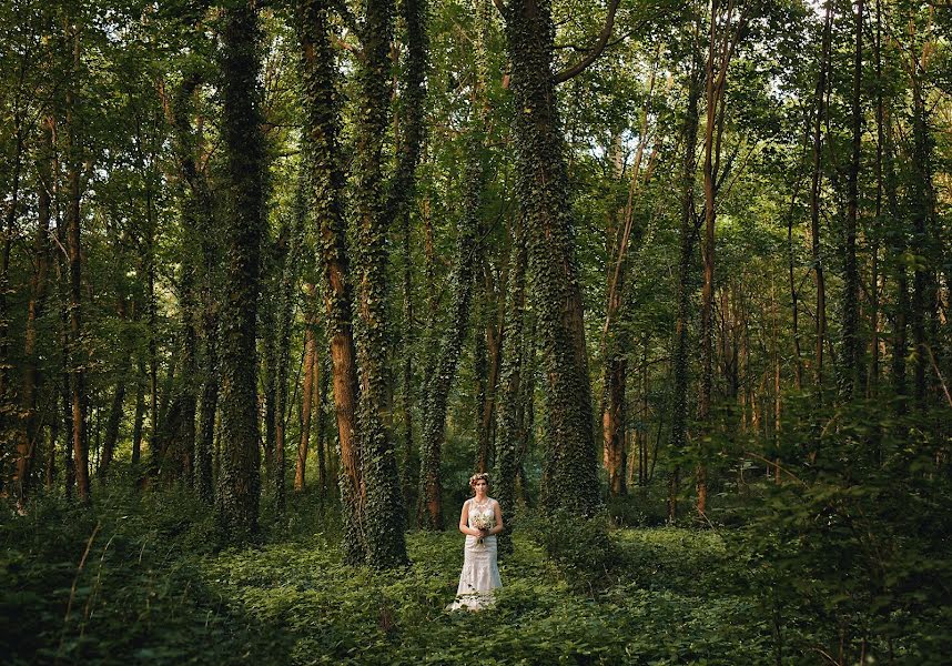 Fotógrafo de casamento Jacek Kołaczek (jacekkolaczek). Foto de 23 de maio 2018