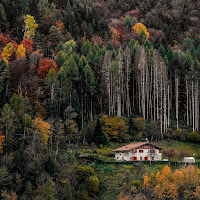 Autunno in Val Dorizzo di 