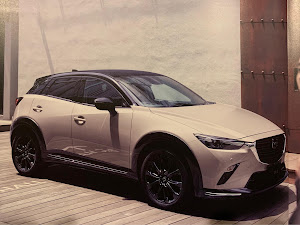 Cx 3 Dk5fwのsuperedgy 納車に関するカスタム メンテナンスの投稿画像 車のカスタム情報はcartune