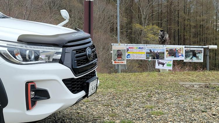 ハイラックスのにわ山森林自然公園・MonsterWolf・驚き・ドライブ・GW最終日に関するカスタム事例の投稿画像2枚目