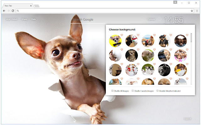 Chihuahua Dogs Custom New Tab - freeaddon.com logo