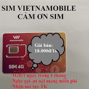 Sim Số Vietnamobile Gói Cảm Ơn Nhận Mã Code Otp Tạo Tài Khoản Dịch Vụ