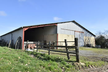 maison à Charolles (71)