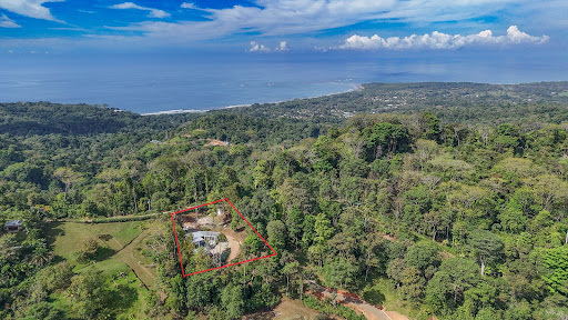 Maison avec piscine et jardin 5