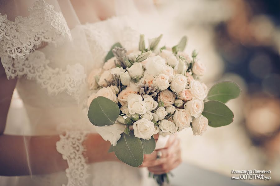 Photographe de mariage Aleksandr Levchenko (fotograf). Photo du 22 décembre 2015