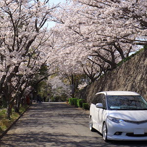 エスティマ