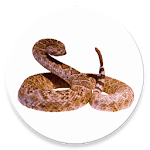 Cover Image of ダウンロード Rattlesnake - Realistic prank app 1.4.1 APK