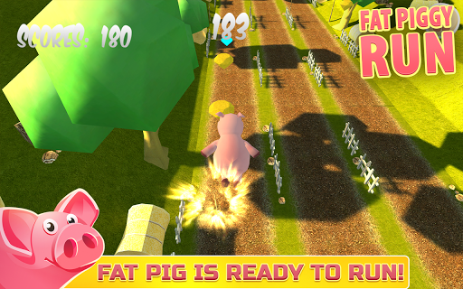 Fat Piggy Run