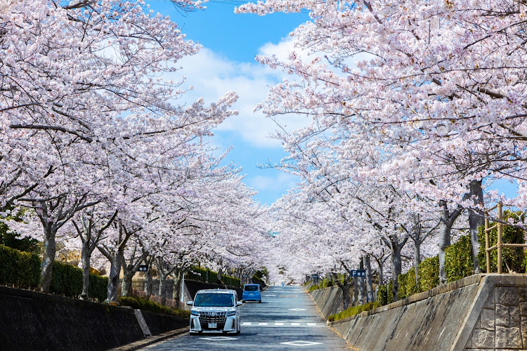 アルファードのたむたむさんが投稿したカスタム事例の投稿画像9枚目
